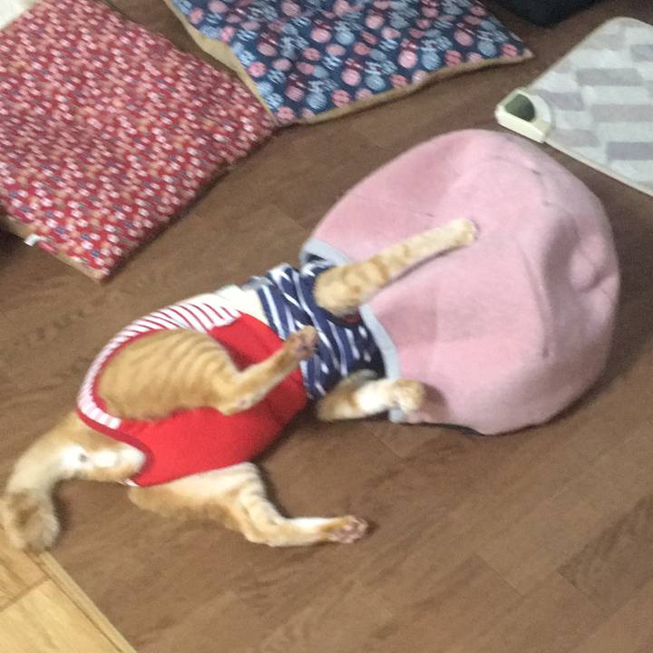 758c50ce d65a 4b47 bf2a d93455b0baa8 1595757482245