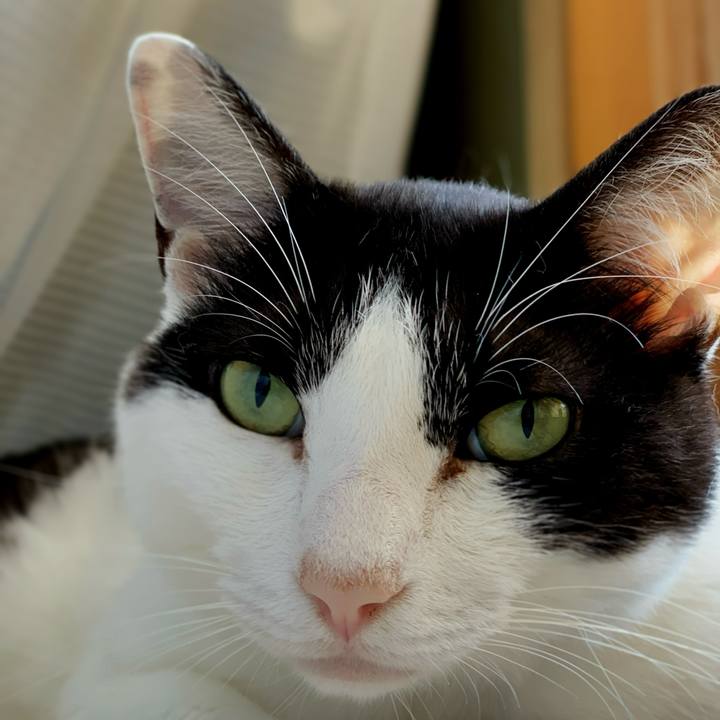 758c5bd2 001b 4262 a348 1bd22426ab8a 1595296873173