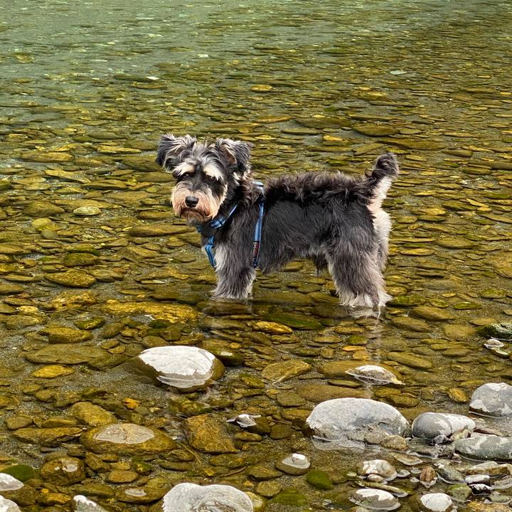 758c80ed 8cef 4dcf a9c4 1b63f6b287cc 1600753636237