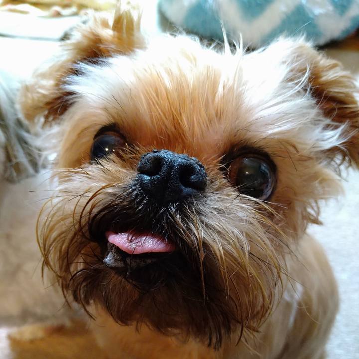 758c818a c9db 4cb8 9507 ba358365823d 1626265910674