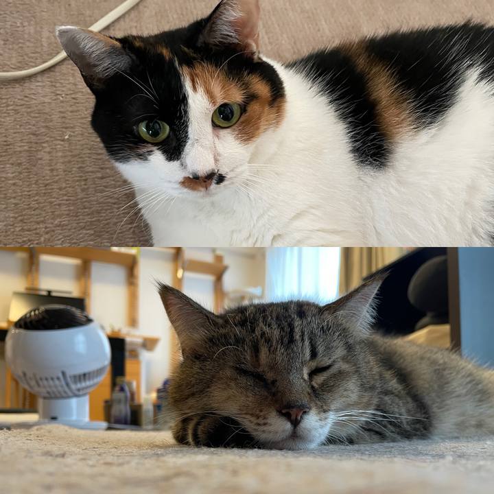 758cbfff 6012 4493 81aa 27178aa5bd2f 1757748279224