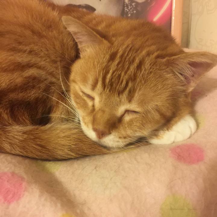 758cfb75 8042 4a4d a0ca 45e8c692155f 1553273185294