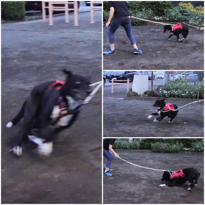 758d3060 7e2d 4831 a221 c5293303bd8e 1661857895330