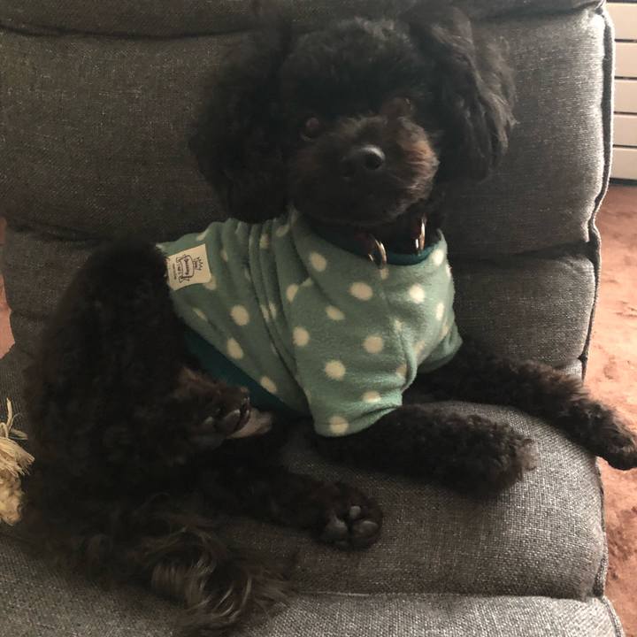 758d4367 12b3 4d72 ab57 fe2344780caf 1580178399400