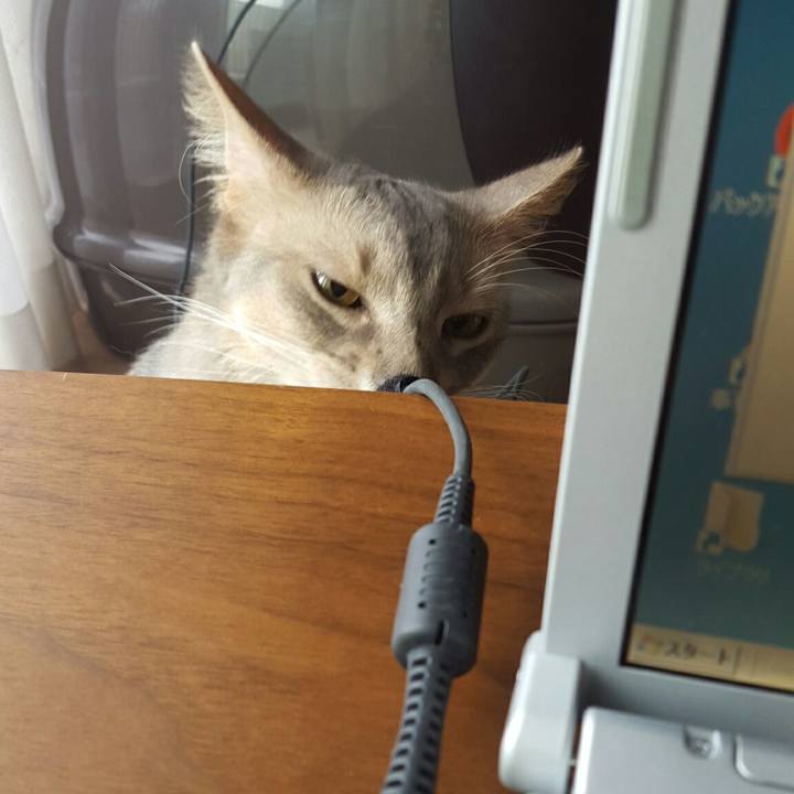 758d4b07 9835 41b1 94fc a6c2689ac7fa 1532656879374