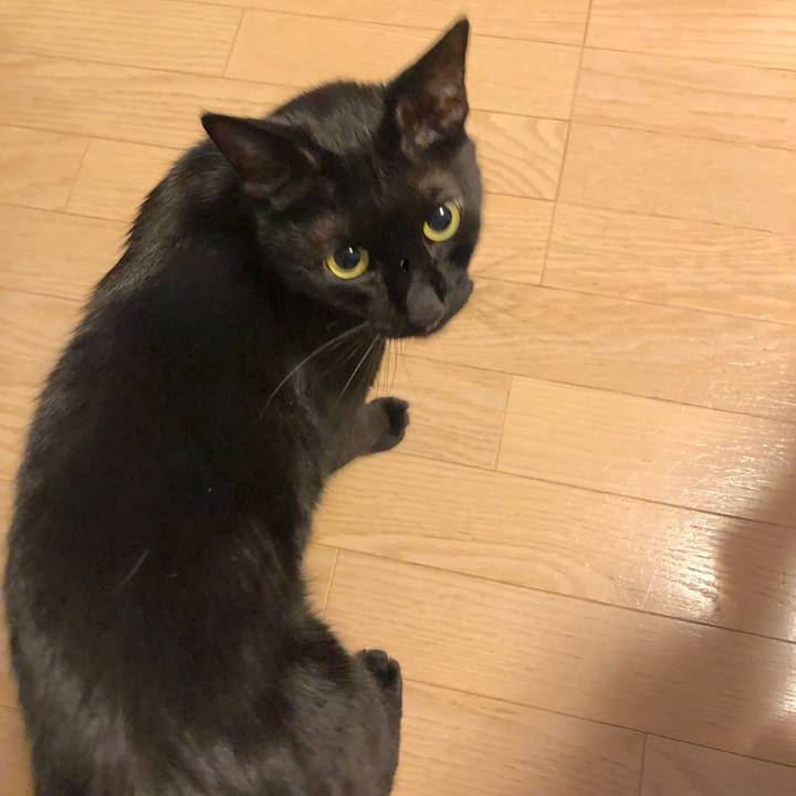 758d5942 a135 4515 8c1b b4c395565c3c 1560256349701