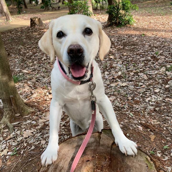 758d9f17 0e5c 4ec1 bcef c4fbb86c8edb 1748092374069