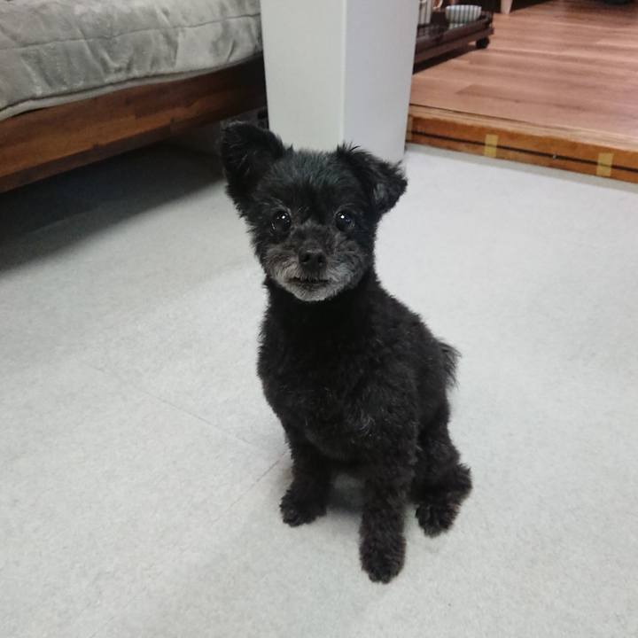 758decf9 5f28 4b70 9903 04ea262ac33a 1572178762970