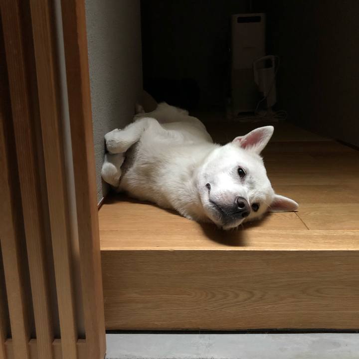 758df6fb e59a 408c ada2 47f48e619693 1566033901957