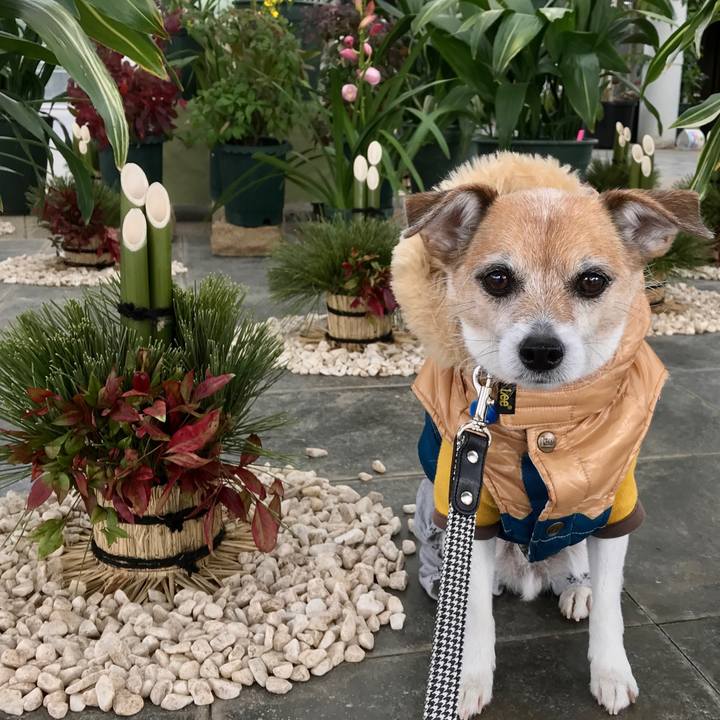 758dfb72 93ec 4dda 94bf b18d3cf03b81 1609457404318