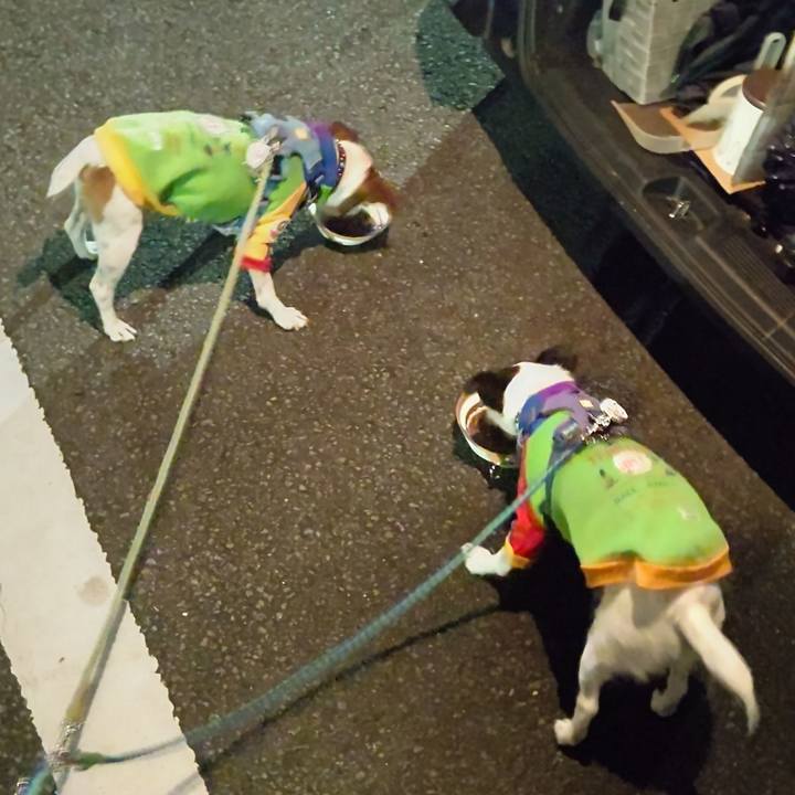 758e3eb4 47d9 4fe7 a36a cac1e2b1ad51 1667741468953