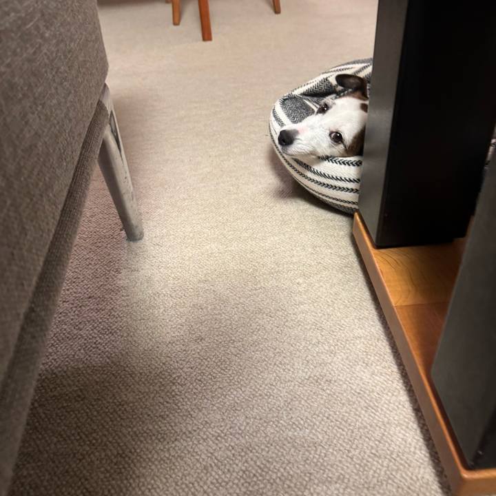 758e4490 fc69 4a5a 8737 c94c01e4f0f9 1763481632474