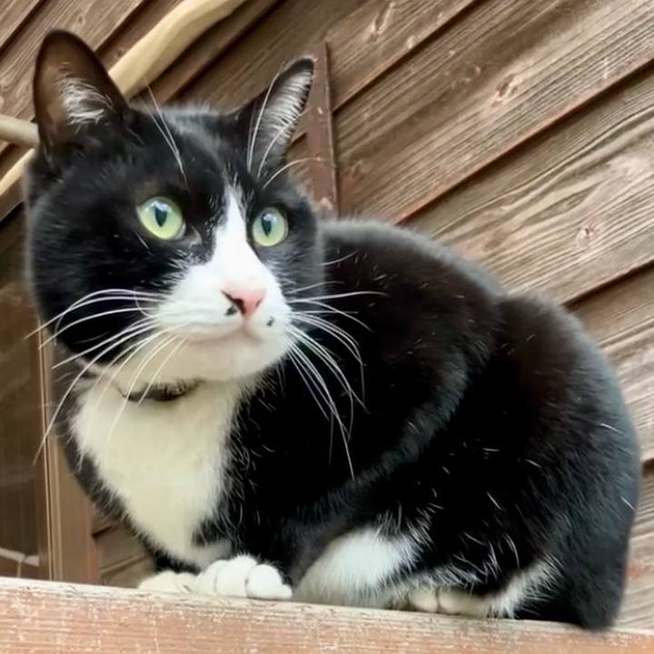 758e80c7 2f4d 4079 ac4b 4b41d4ad1f43 1738117680778