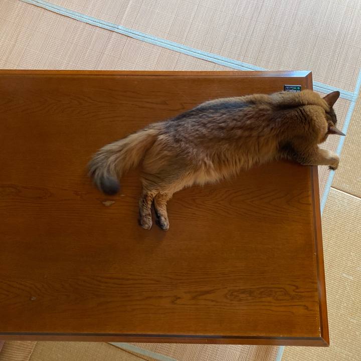 758e8ada 32d5 409d b9ab 7179f063f150 1692746614666