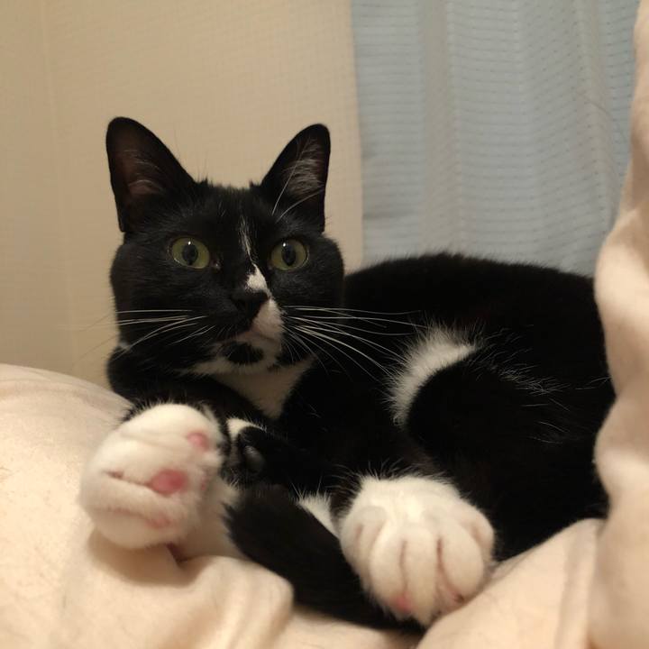 758ea5c8 7b92 46a8 aa02 eb931ff04b71 1559859372993