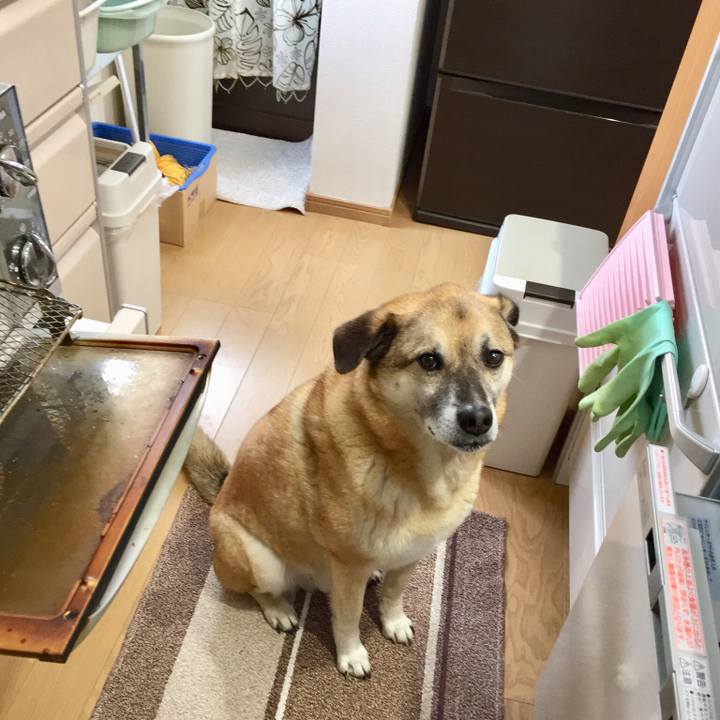 758ea832 a672 4239 89c4 80924296c2aa 1522974429876