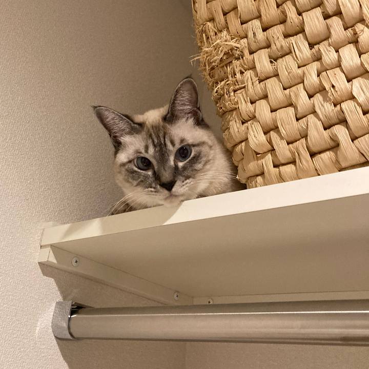 758edd34 583d 4d07 8fb6 7199641d0bad 1598396986685