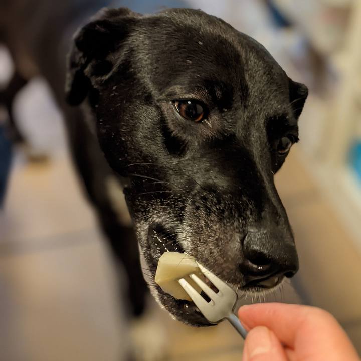 758ee175 f304 45c3 ba24 155bab46b6ed 1636433745915