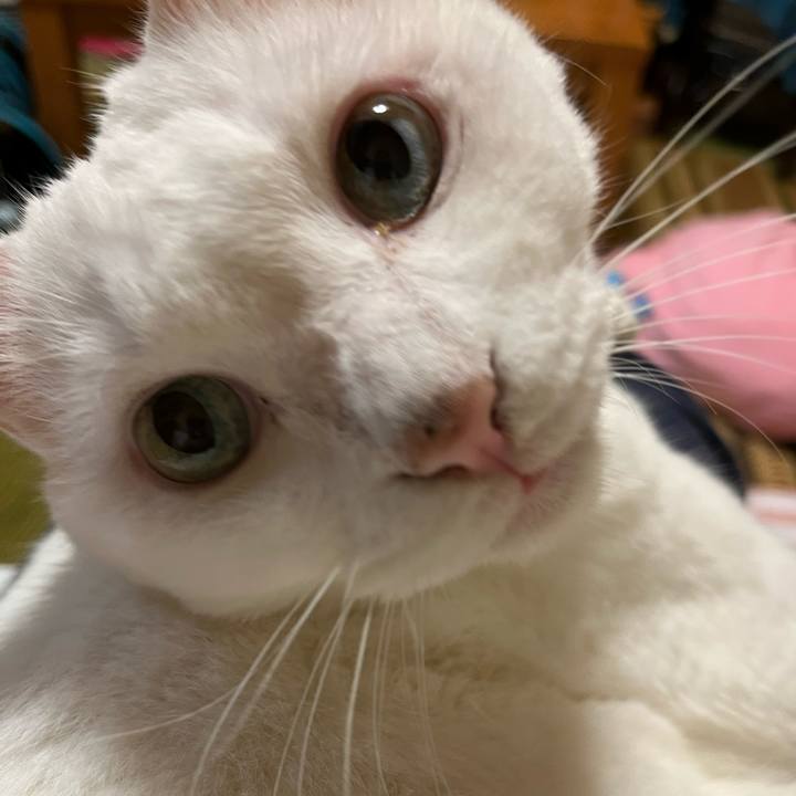 758ef230 15d2 4508 a49b ece6edbd0ea8 1663432271229