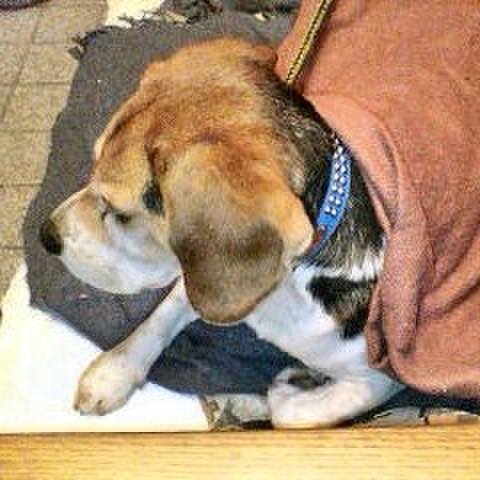 758ef2f1 262b 4713 892c 4587ec5c5290 1771164206812