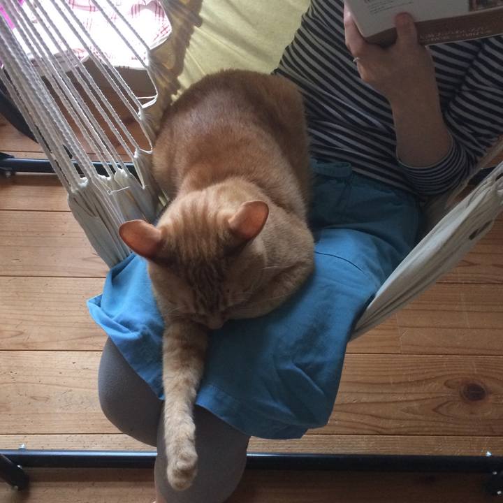 758ef6e3 a155 4d1e 9014 72f44f134d74 1562588522881