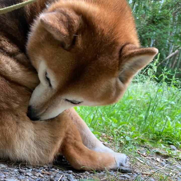 758f0c1f 0ec0 4058 96fc 71ae0d4deaa0 1685102881445