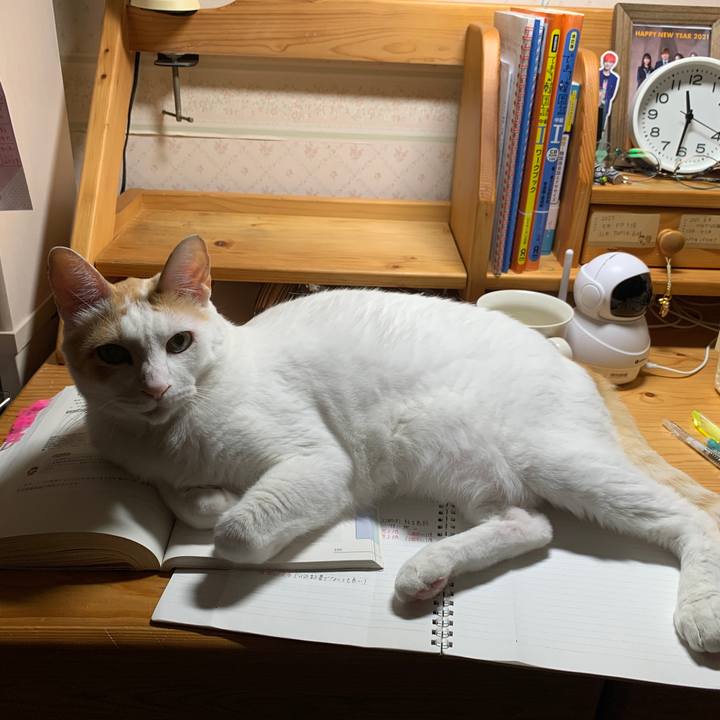 758f3005 51d4 4823 817a 3f6594007cce 1647613791640