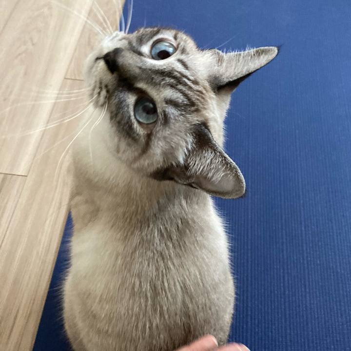 758f3cdf 4ab0 49f2 9b63 a455bc555d49 1667697927260