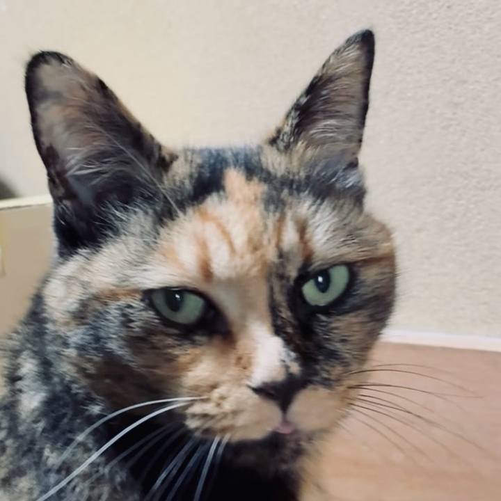 758f4f9e 553e 40b1 a922 4e3ef7d829aa 1758249325757