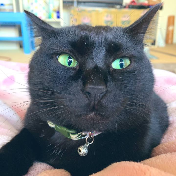 758f6998 a57c 4ce7 85c3 b99d8eeaec94 1549358420859