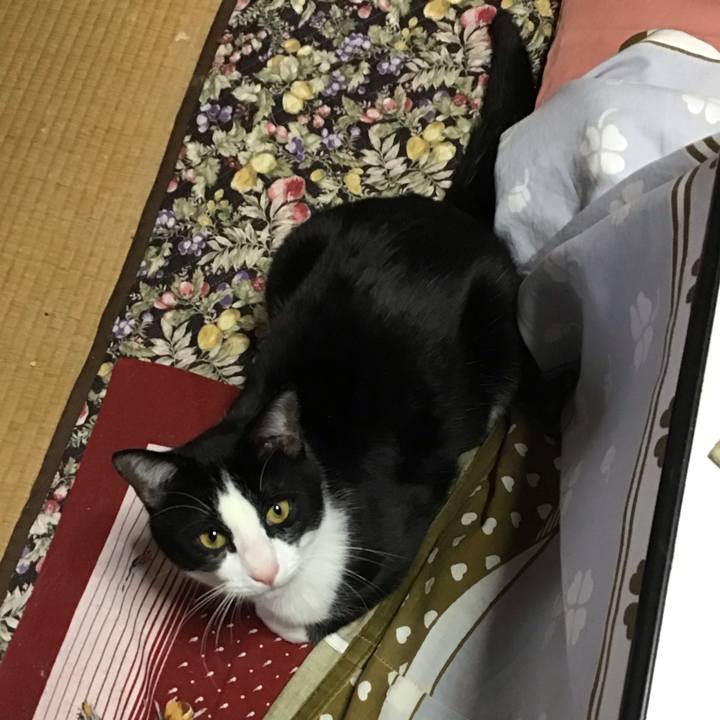 758f8139 b9f0 4f09 8c1e 300970baeb4e 1679049425206