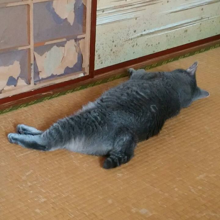 758fa0fa 7326 479a a562 07dc7b63dfd7 1598840015034