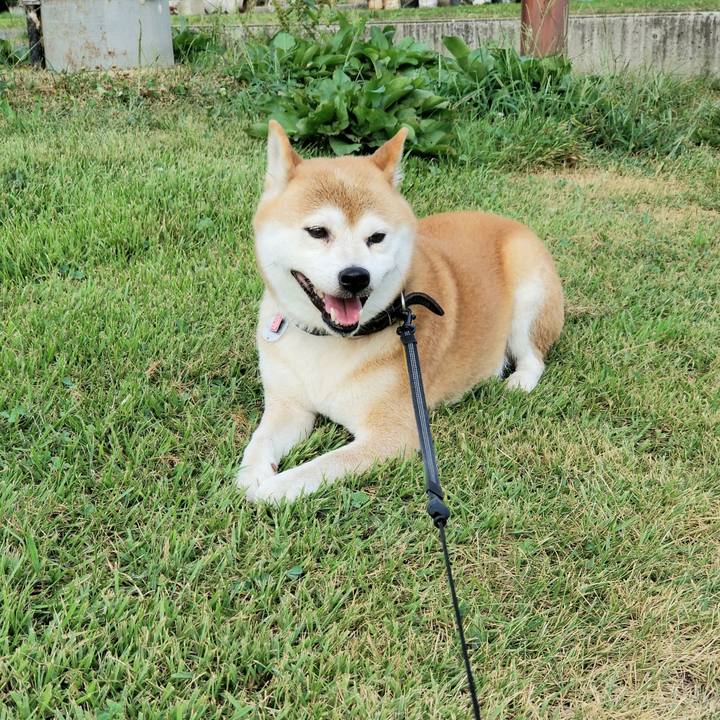 758fb599 9dc6 4185 a7e2 b243a7dcede1 1598256150977