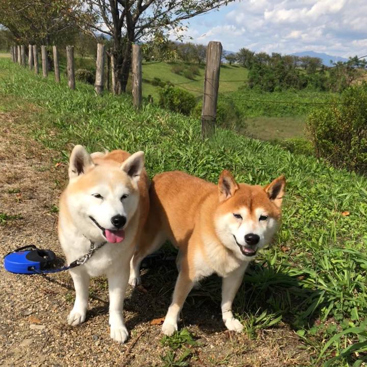 759025e4 6080 448d 8f98 8aa9cceb500d 1539561070743