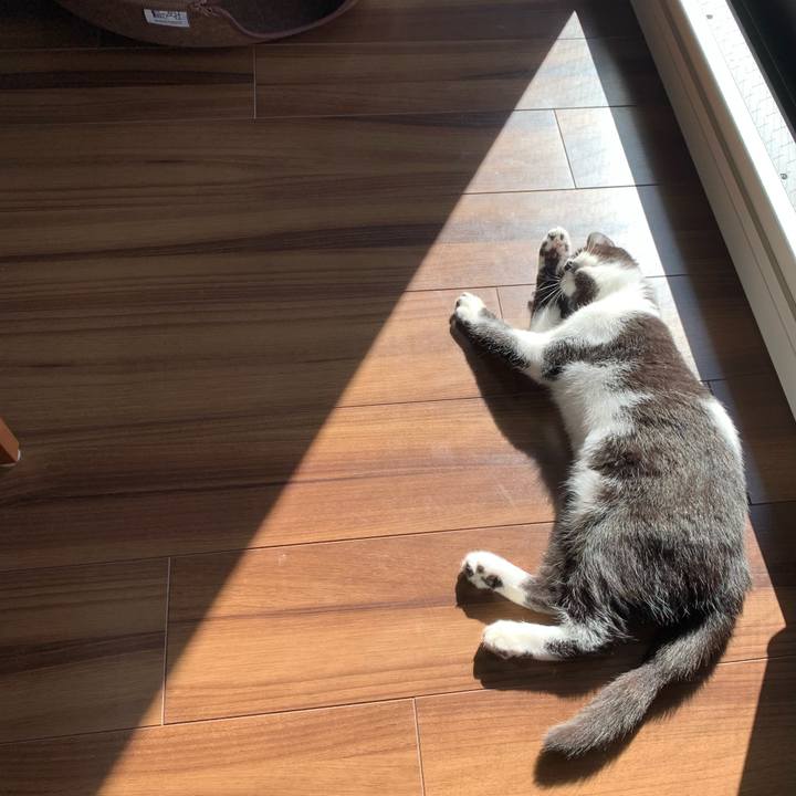 759042b8 c3af 45c4 a262 2821d68dc0f9 1769340349304