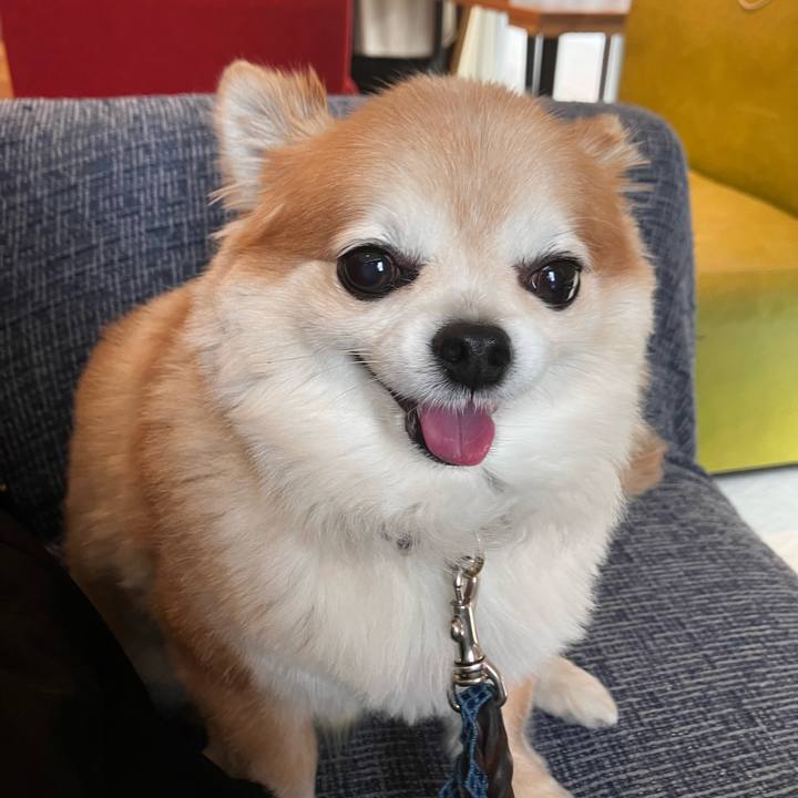 75906229 3aa8 4f83 8969 d1cca613bdb6 1761732250062