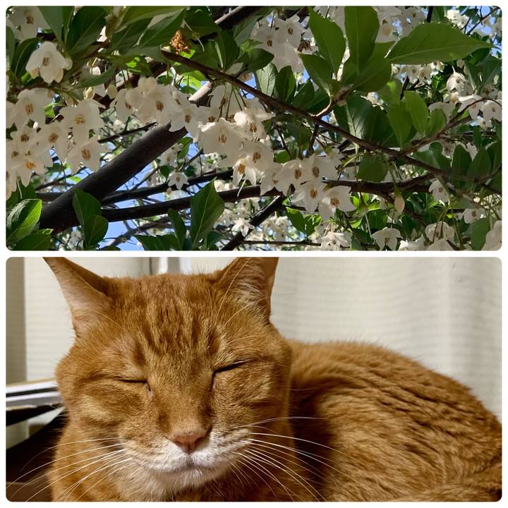 75908735 de32 410d 8ff6 abc74e025ac0 1682602960739