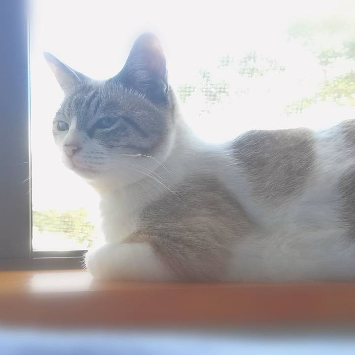 7590c9f3 7d4d 426a 84af a21d496286ee 1597275289169