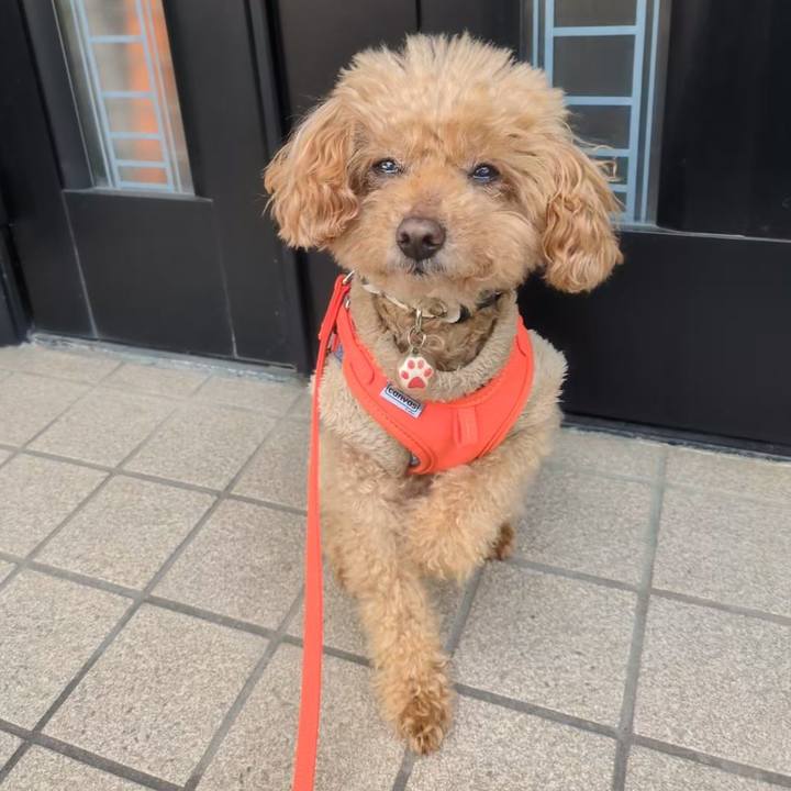 75912ccd 5be1 417b 9233 027e525c15b2 1769818539879