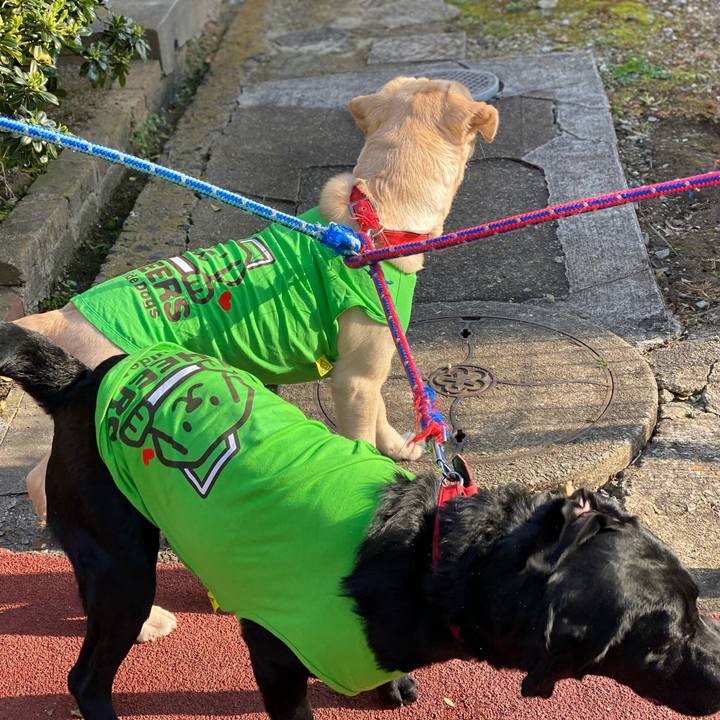 759162f7 af08 4ee2 a250 0d72271a779c 1616400251849