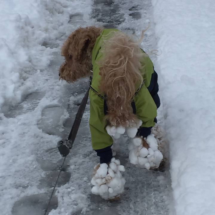 75916f77 a3bf 421e aef6 de01e622d178 1511048124682