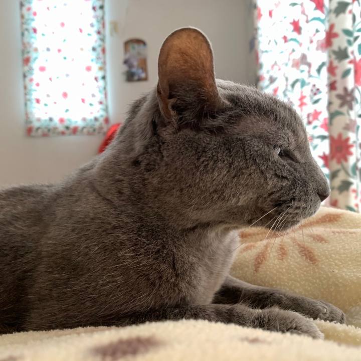 7591b659 43dc 45c5 a18e e848d0bc7f0a 1652521950744