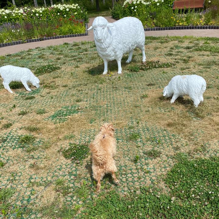 7591c7a7 6b6a 4e35 9ae9 3314d59f5612 1626595279723