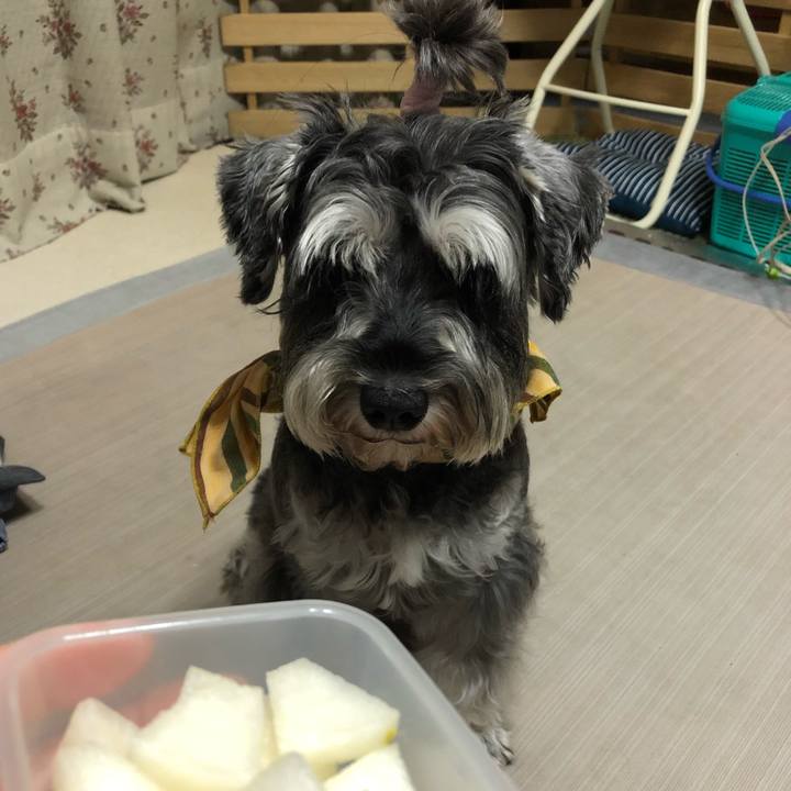 7591d195 46c2 46cb b85d 8cc587635e8c 1630149458142