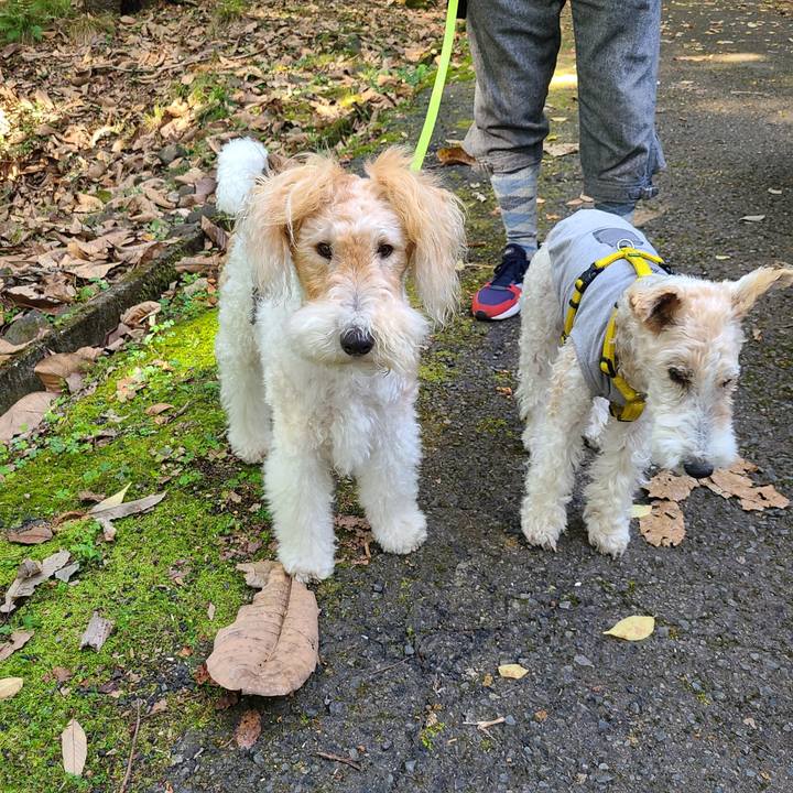 7591e6e6 0586 4760 8ba5 80b5c3c9db40 1666501733733