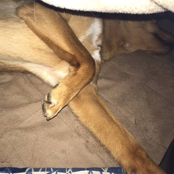 7591ef6d bc5f 4925 807a 979268d76007 1552509766630