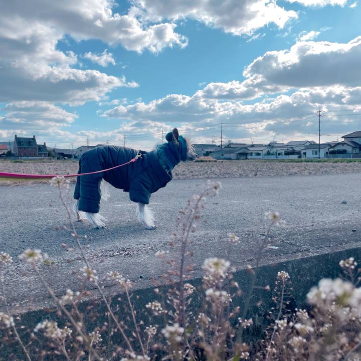 759206ec 2f26 44c1 970e 6cadd4b22518 1773386604467