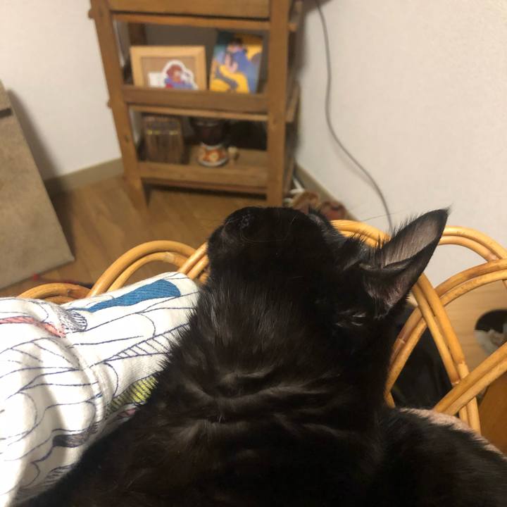 7592282d 7f6e 4380 b503 ad449f4d65dc 1641131723287