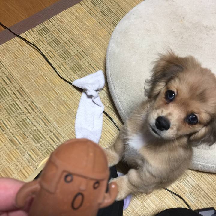 75924e7f 2c88 493b b9e1 195aa7f437f8 1538603499817