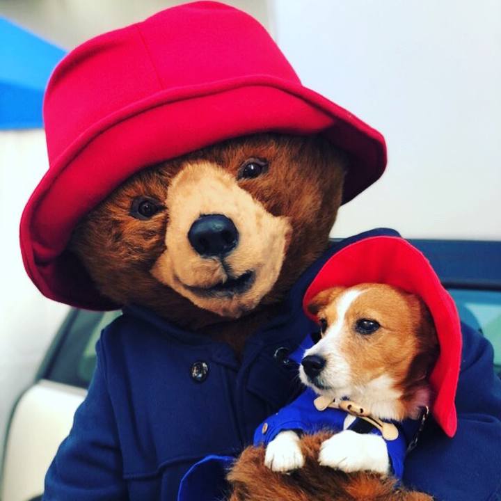 7592861c de55 43a2 908e bd9bfce8adeb 1513049159214